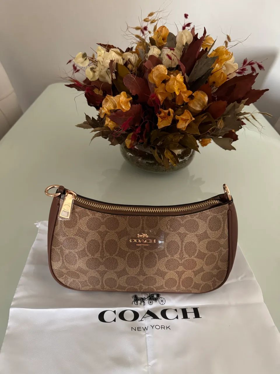 Bolsa coach nova 