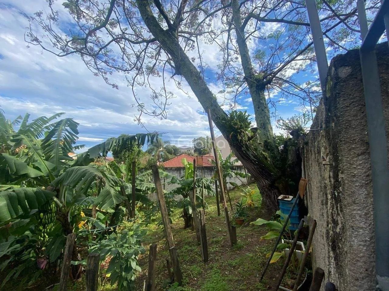 Terreno para Venda em Florianópolis, Bom Abrigo - Foto 2