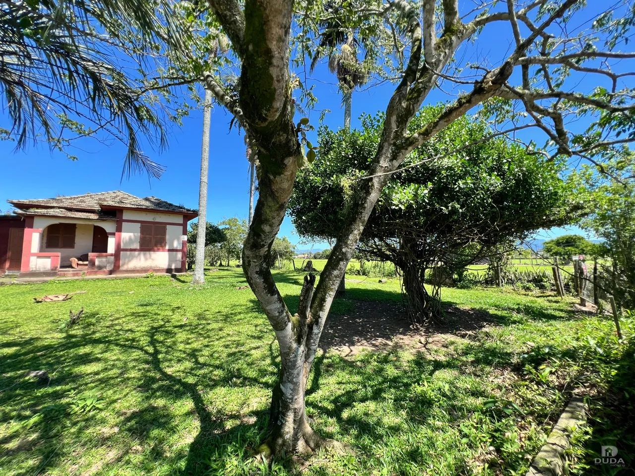 Terreno à venda em Santa Isabel, Forquilhinha - Foto 4