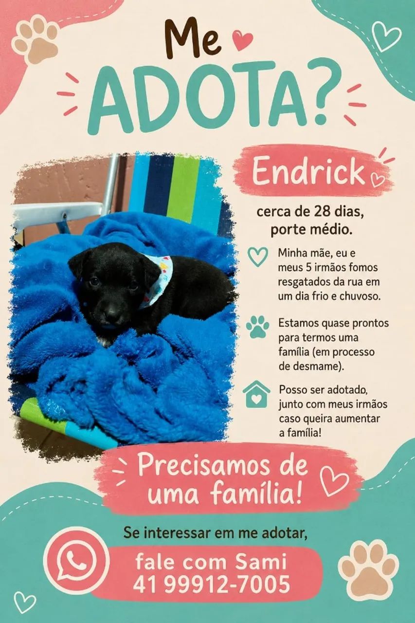 FILHOTES LINDOS ADOÇÃO  - Foto 2
