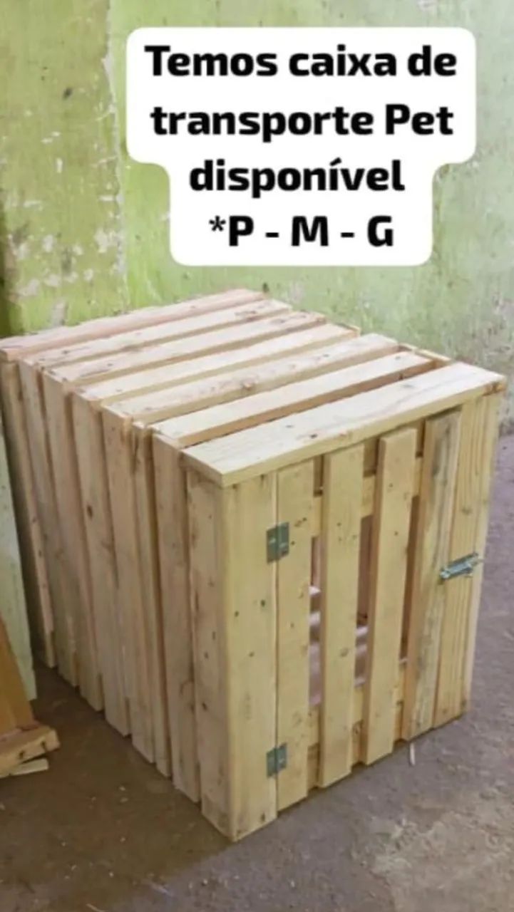 Caixa de transporte Pet pra barco e carro