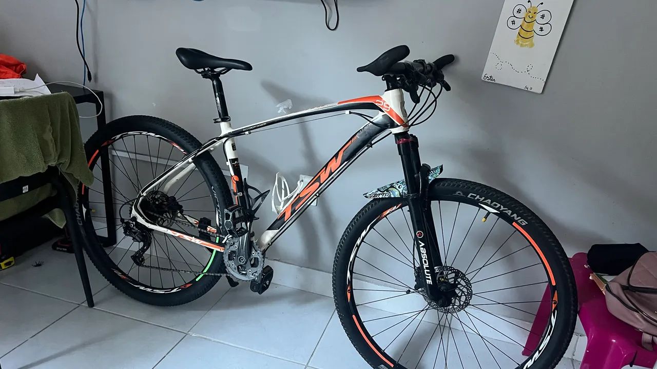 Bike Aro 29 TSW (Revisada)
