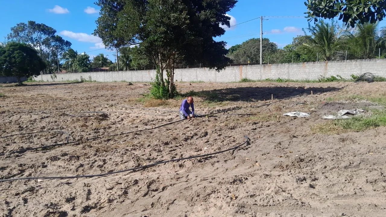 Terreno  em macaiba - Foto 3