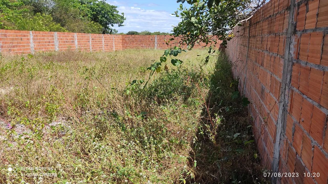 Terreno Muriti Paracuru  - Foto 4