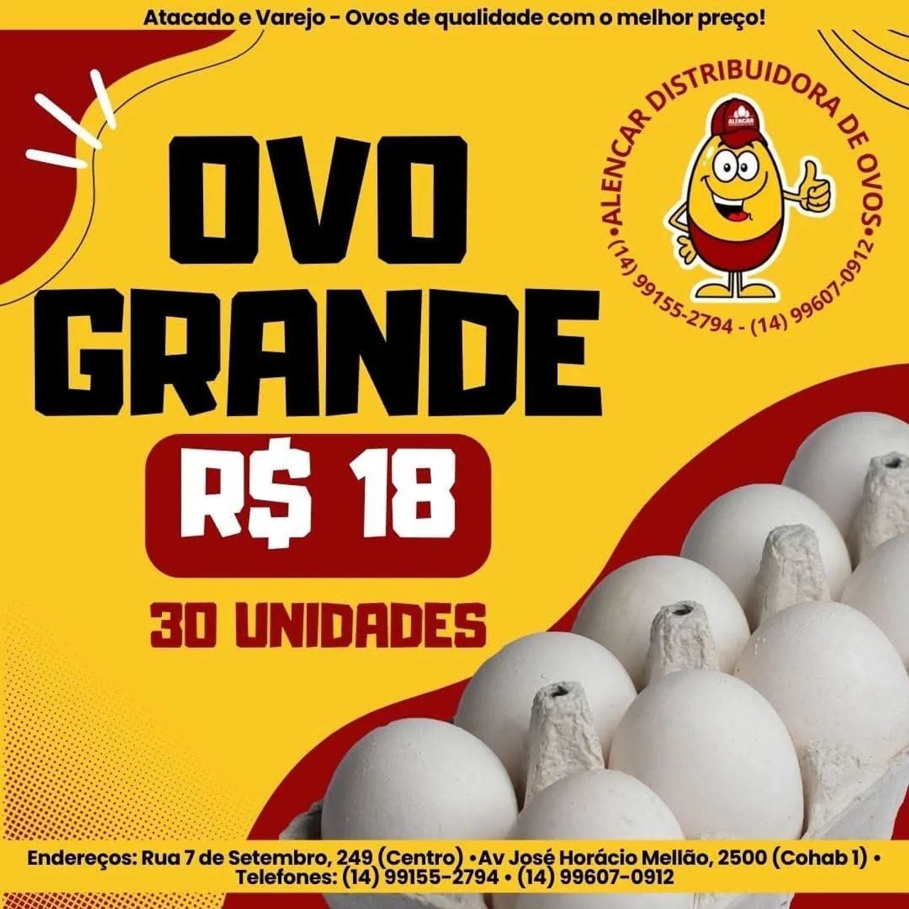 ALENCAR DISTRIBUIDORA DE OVOS.A QUALIDADE QUE VOCÊ PROCURA ESTA AQUI.ATACADO E NO VAREJO  - Foto 2
