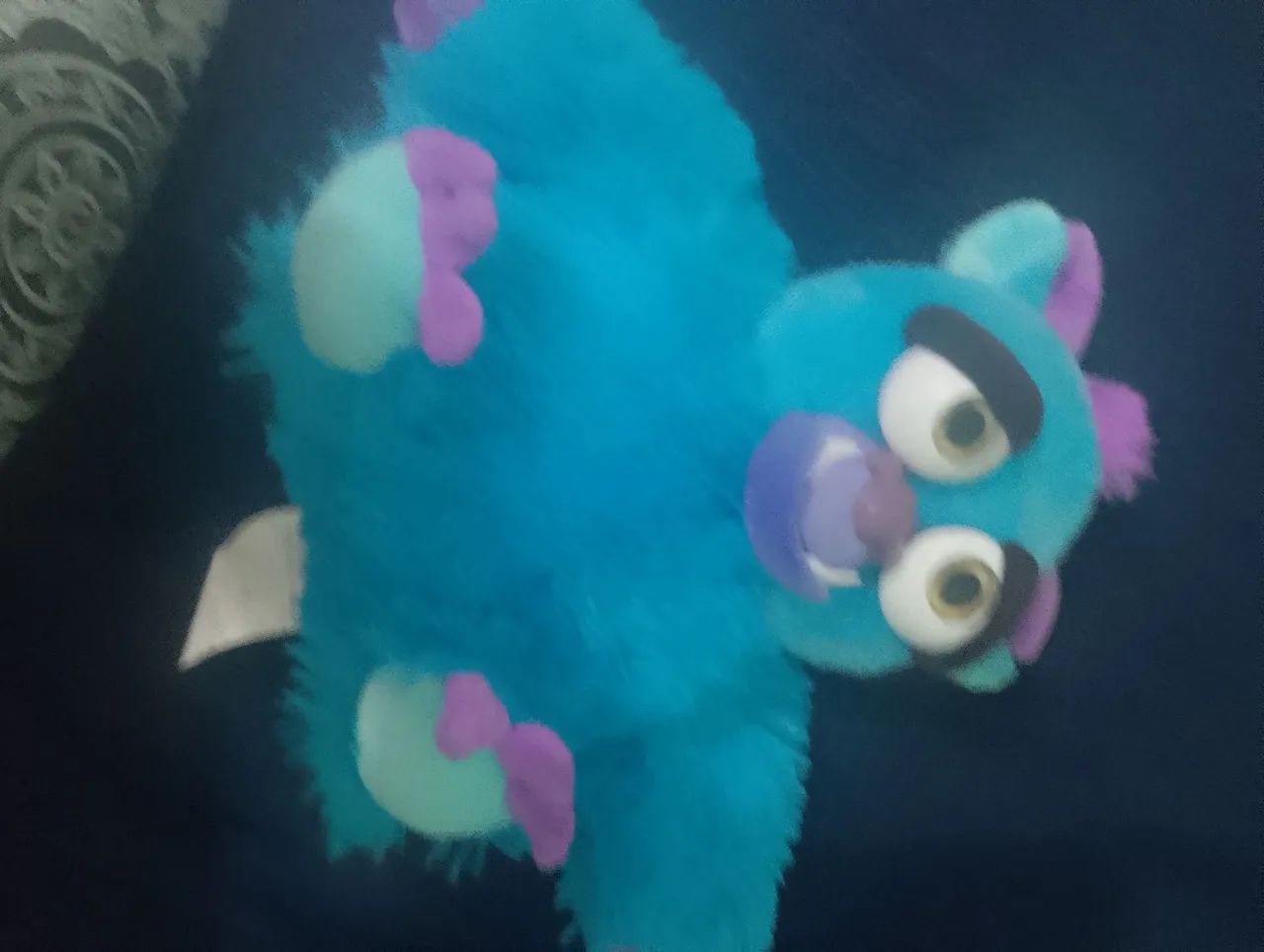 Urso - Foto 3