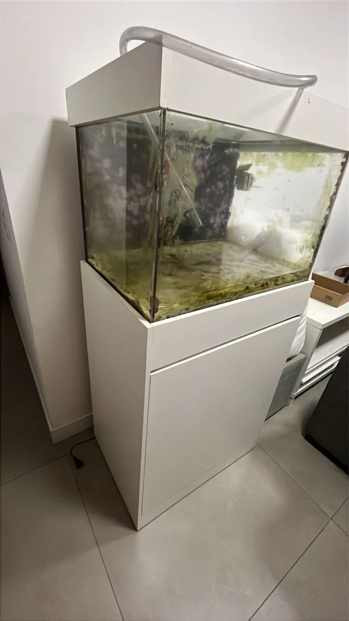 Aquário 70x50x50