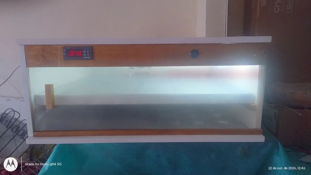 Chocadeira automática com viragem de ovos e ovoscopia 