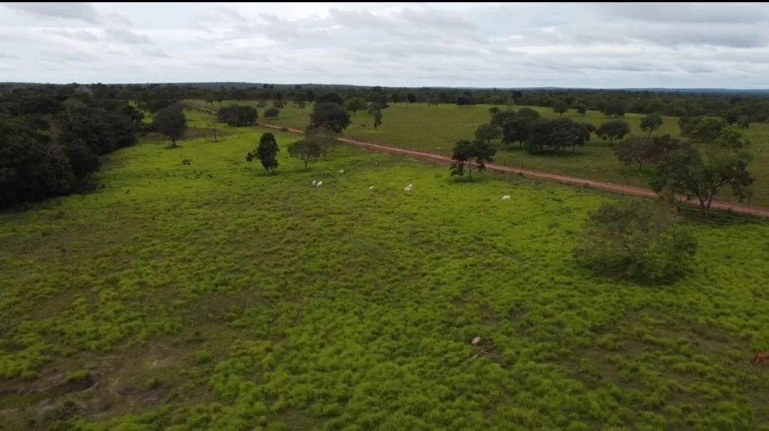 FAZENDINHA BARATA? - Foto 5