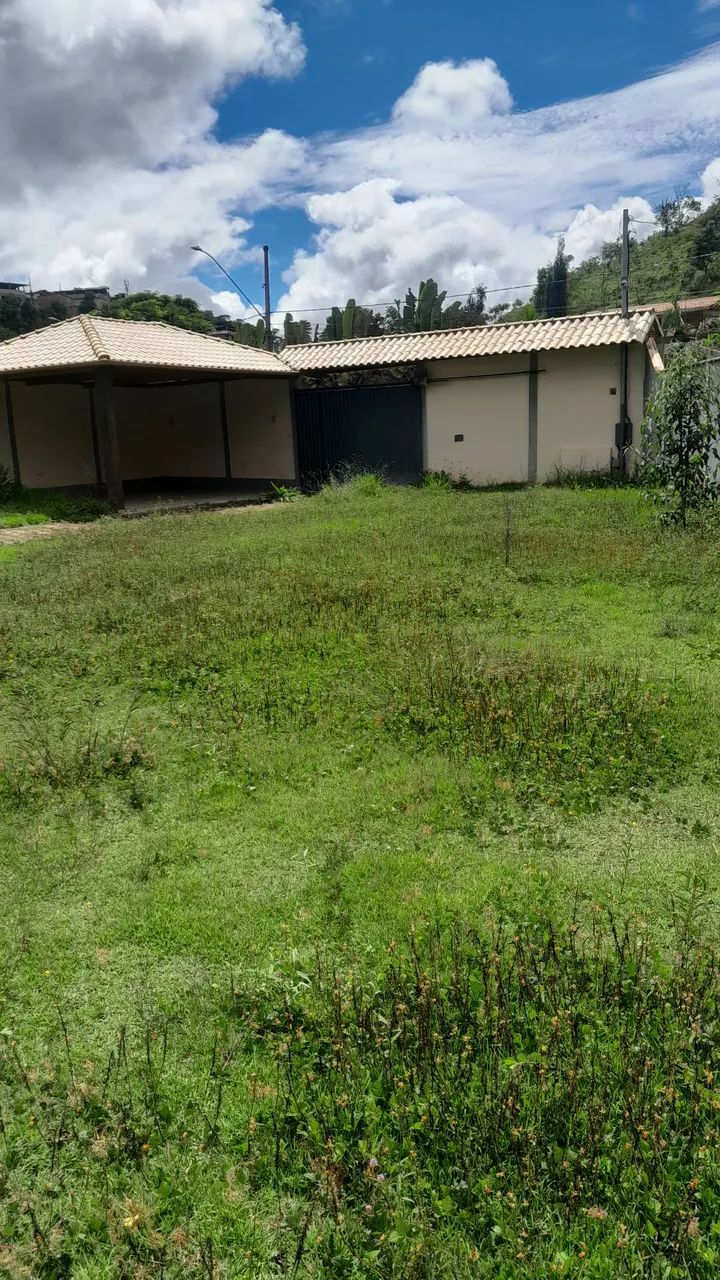 Limpeza de granjas com roçadeira  - Foto 5