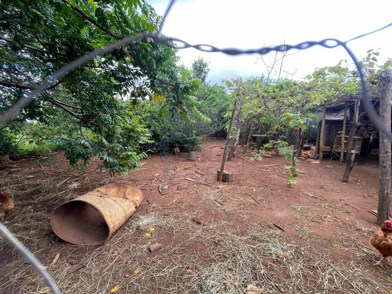 Chácara de 240m² para venda - BRODOWSKI