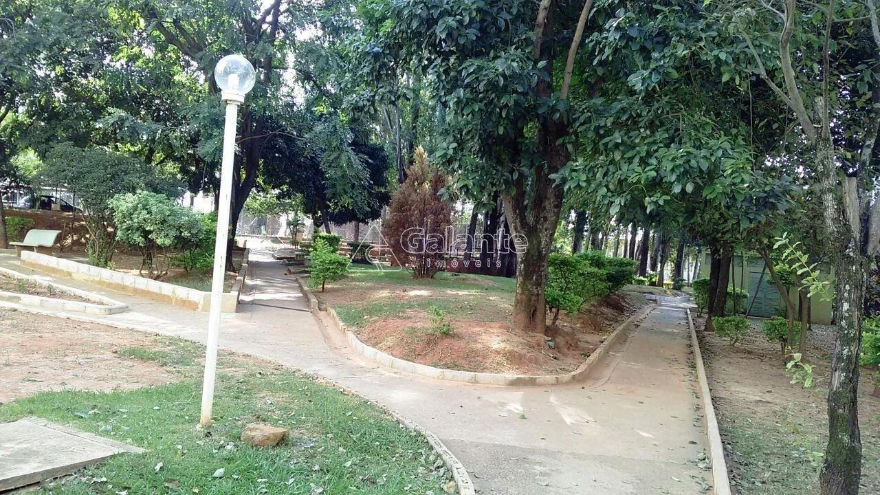apartamento - Vila Padre Manoel de Nóbrega - Campinas - Foto 3