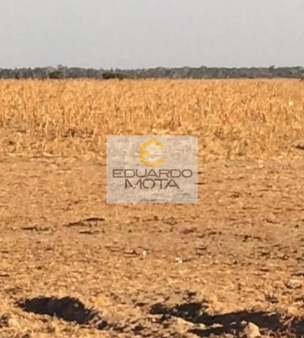 Fazenda em Centro - Vila Rica