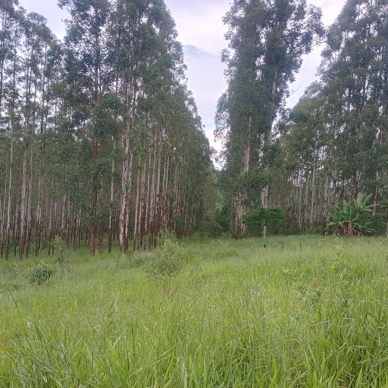 Foto - Votorantim - Residencial Votorantim Park I