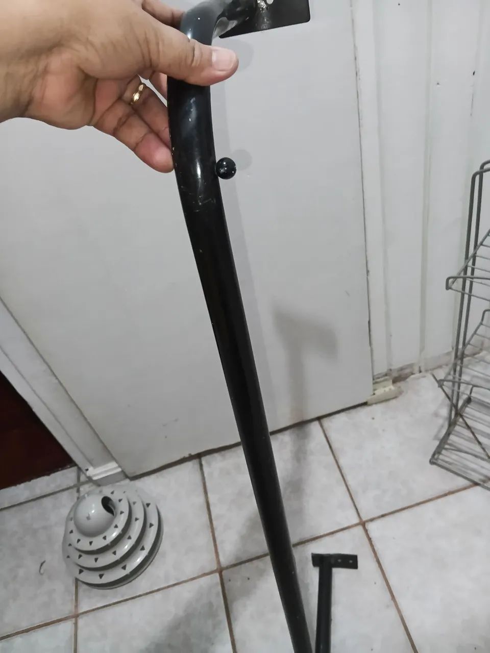 Arara. Grande de parede 