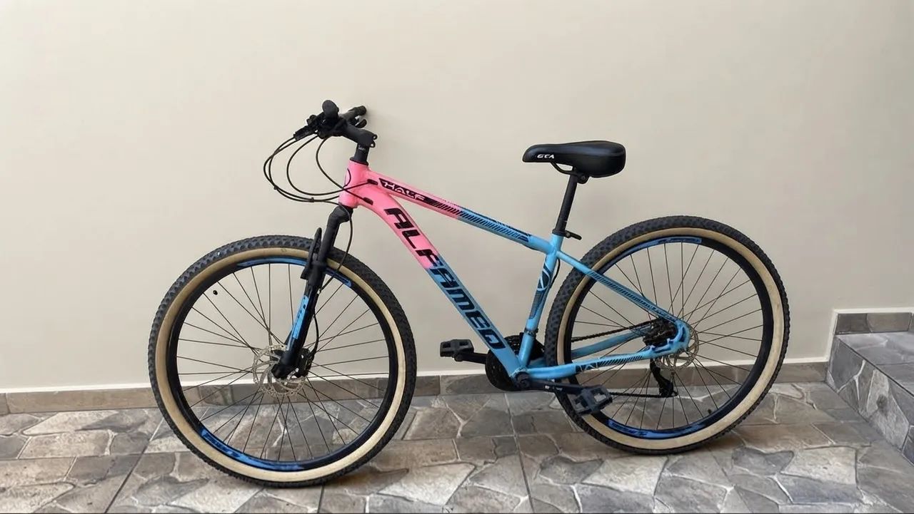 Bicicleta Aro 29 