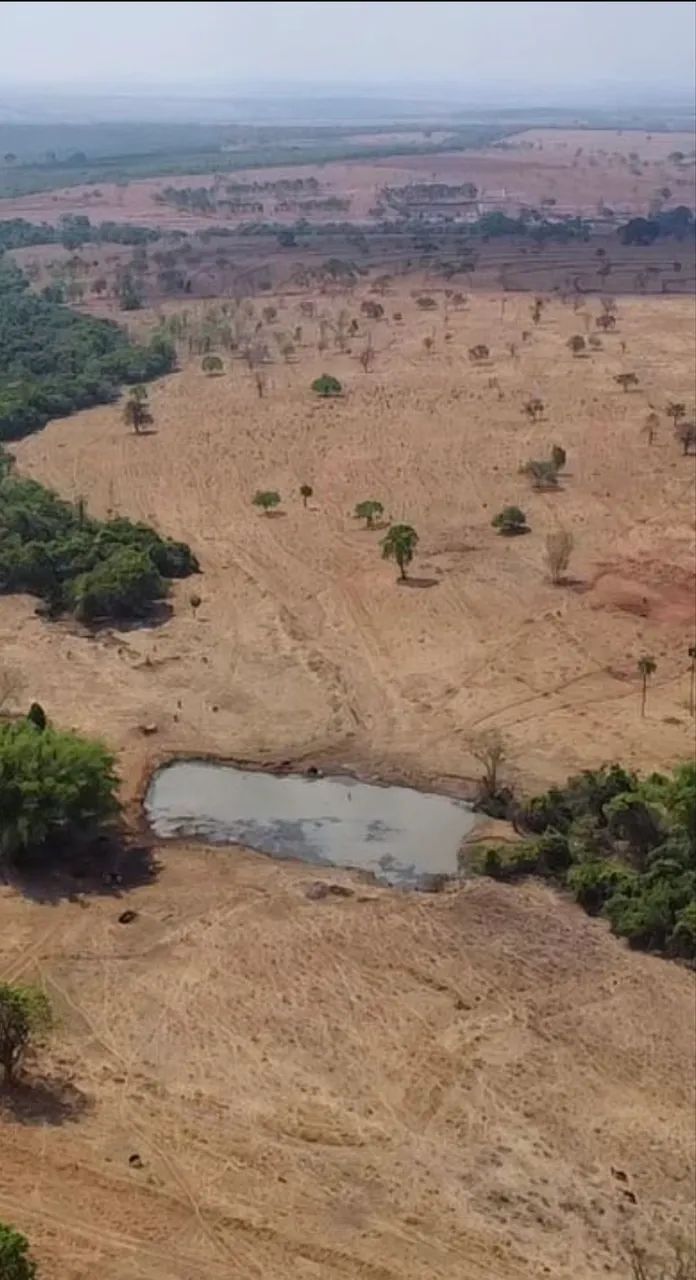 Fazenda dupla aptidão em Campina verde  - Foto 3