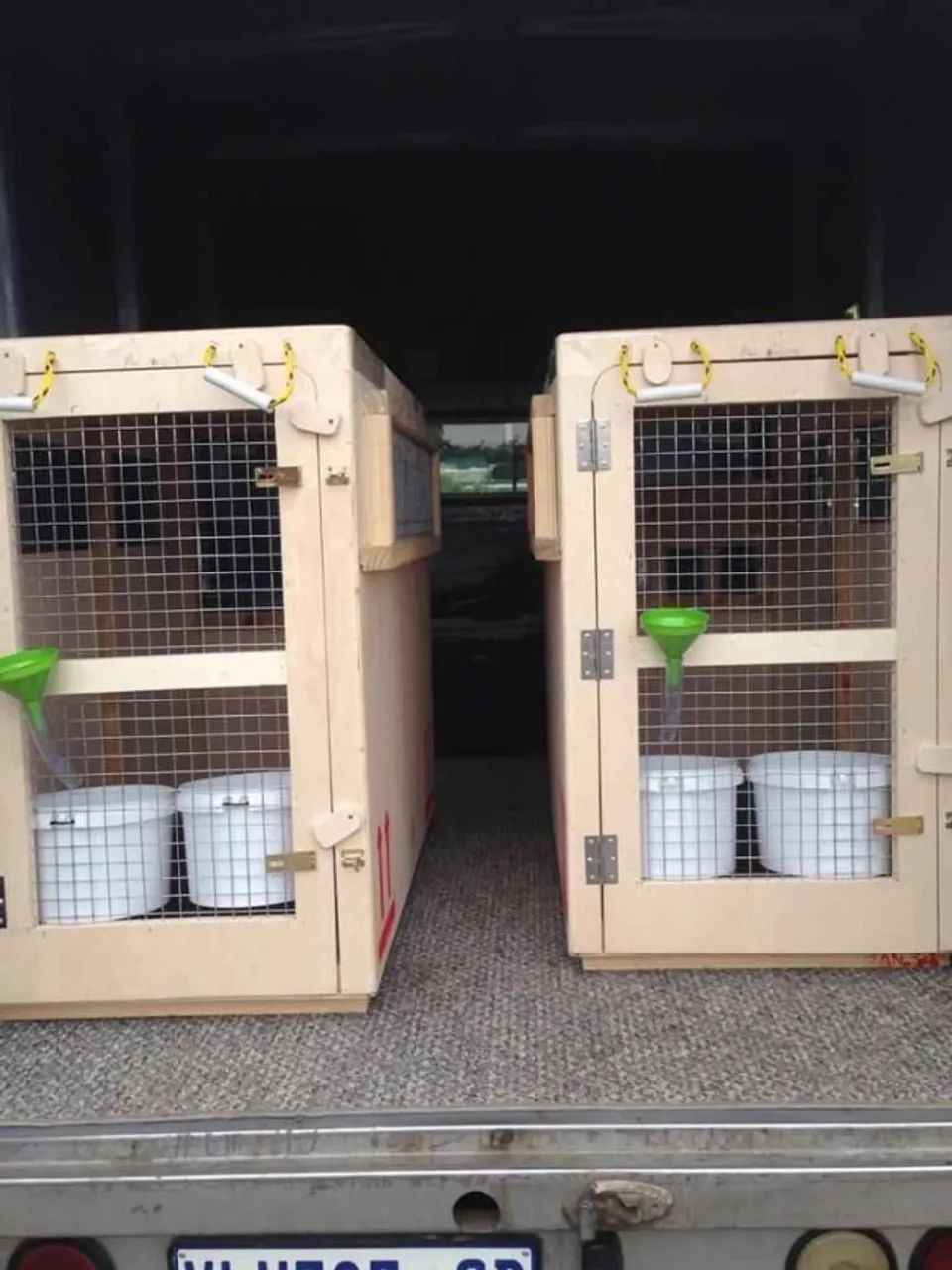Duas caixas de transporte para cães padrão IATA (viagem internacional/aérea)