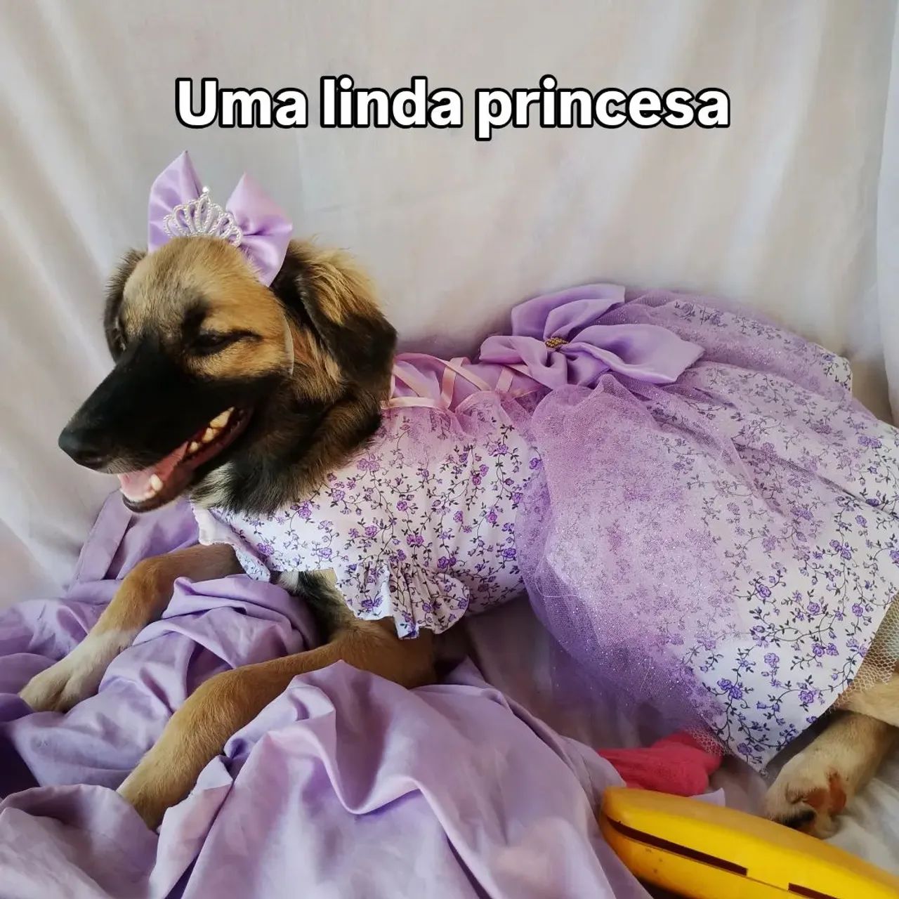 Doação  - Foto 2