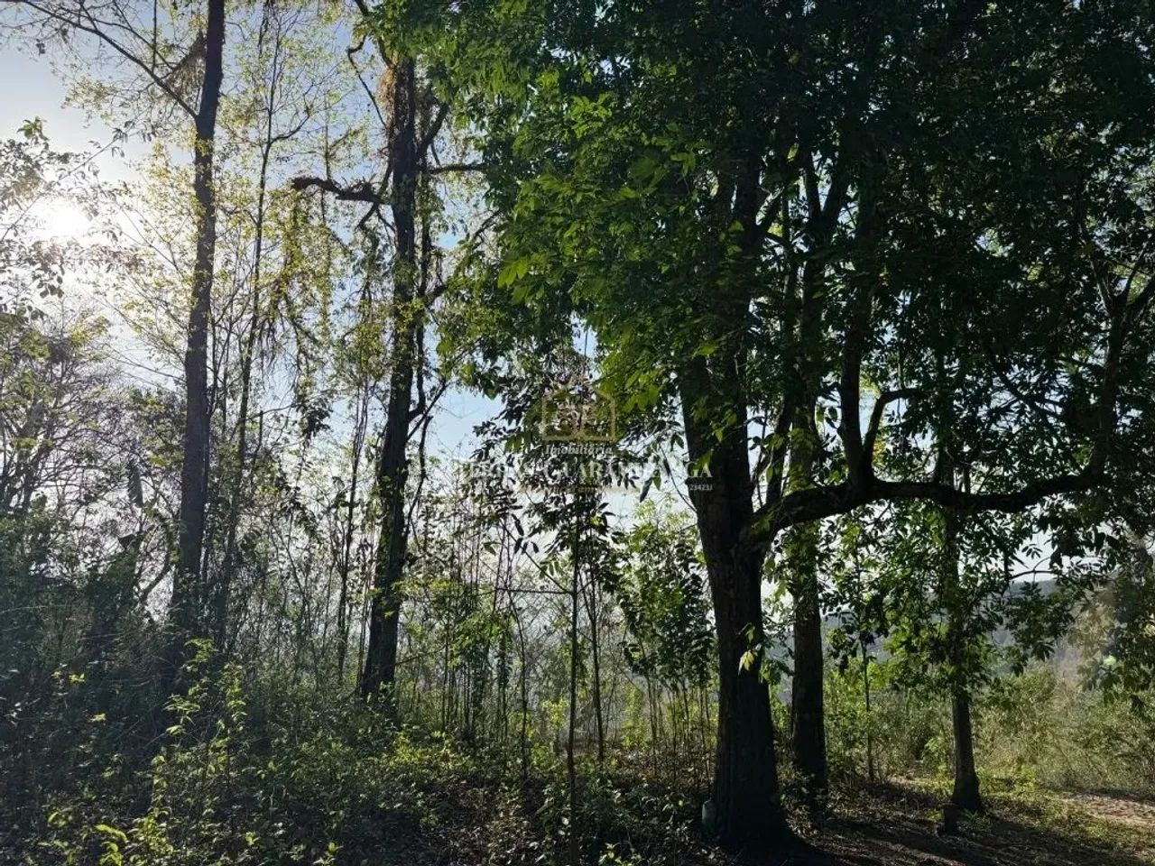 TERRENO EM GUARAMIRANGA