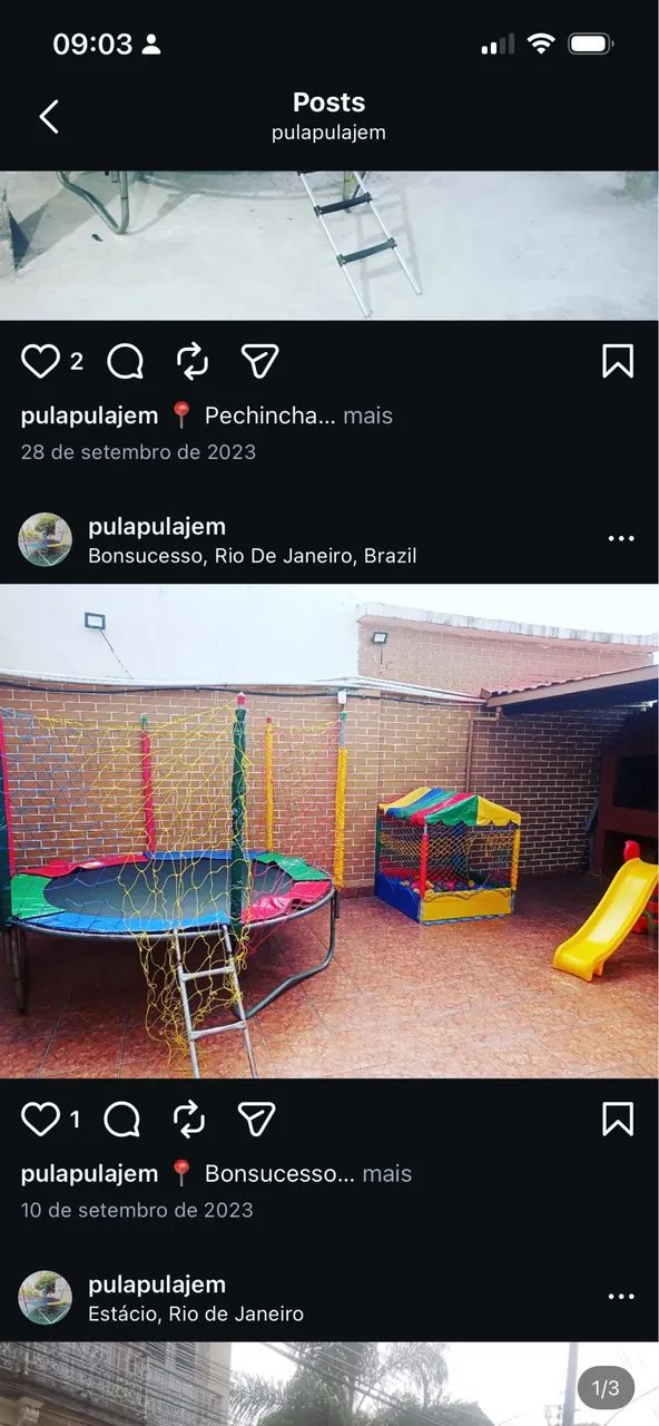 Pula pula - Foto 2