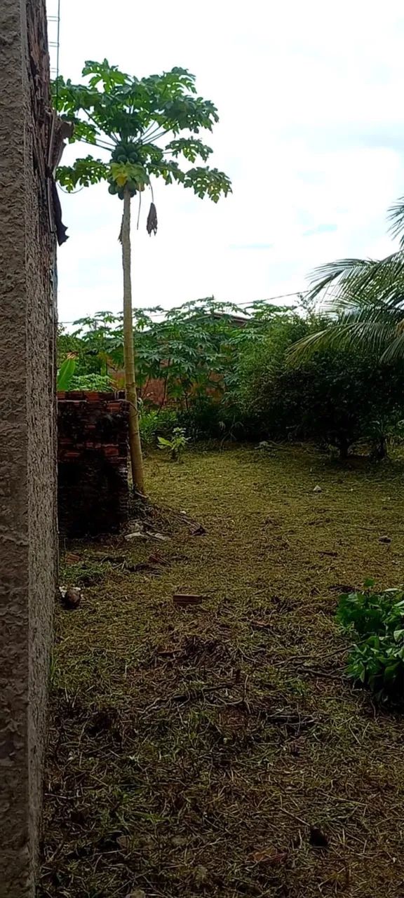 Terreno no nova vida 27x22  - Foto 5