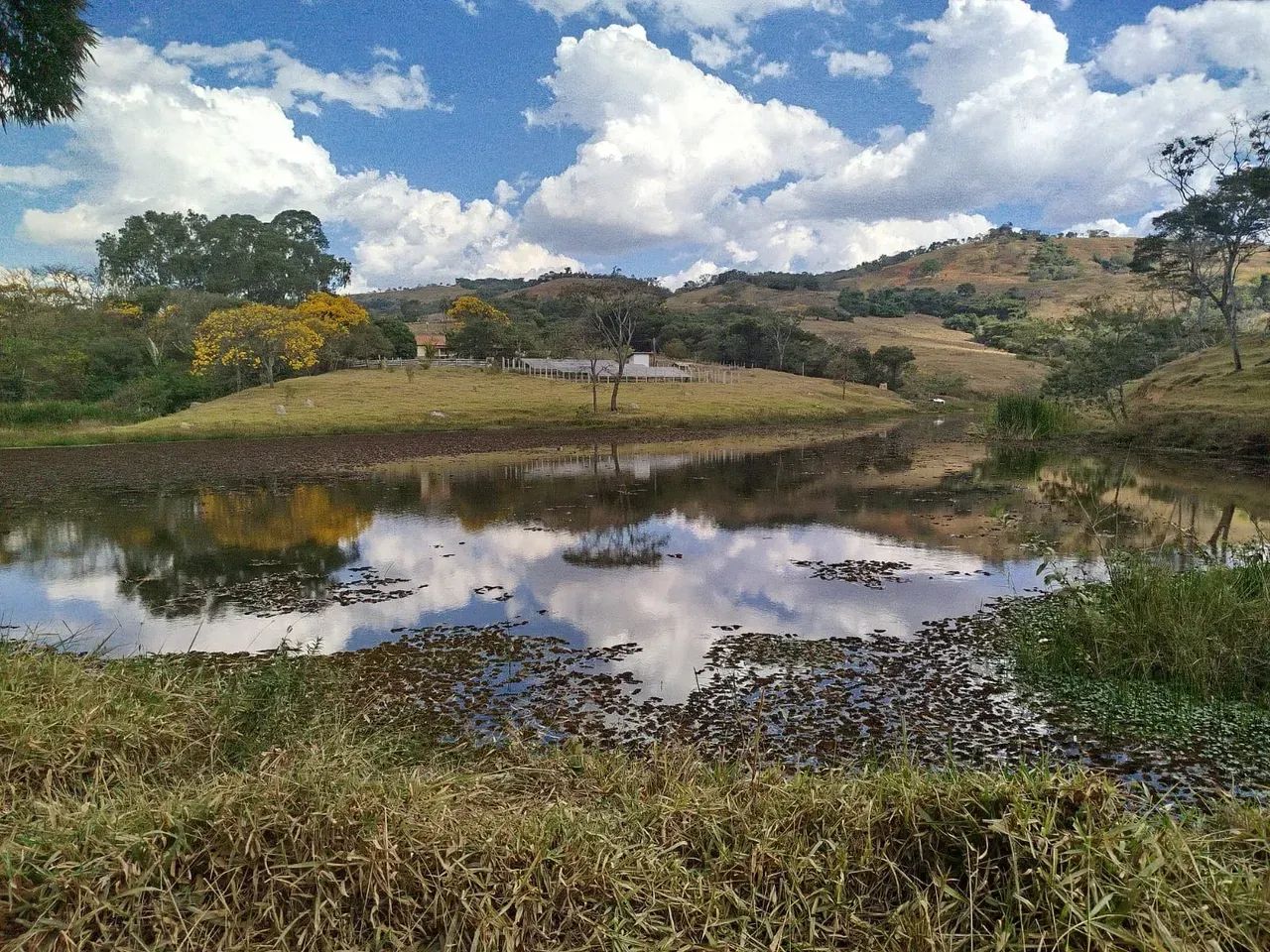 Fazenda em Oliveira /MG 65 hectares café E PLANTAÇOES DIVERSAS,, PODENDO USAR AGUA POR GRA - Foto 2