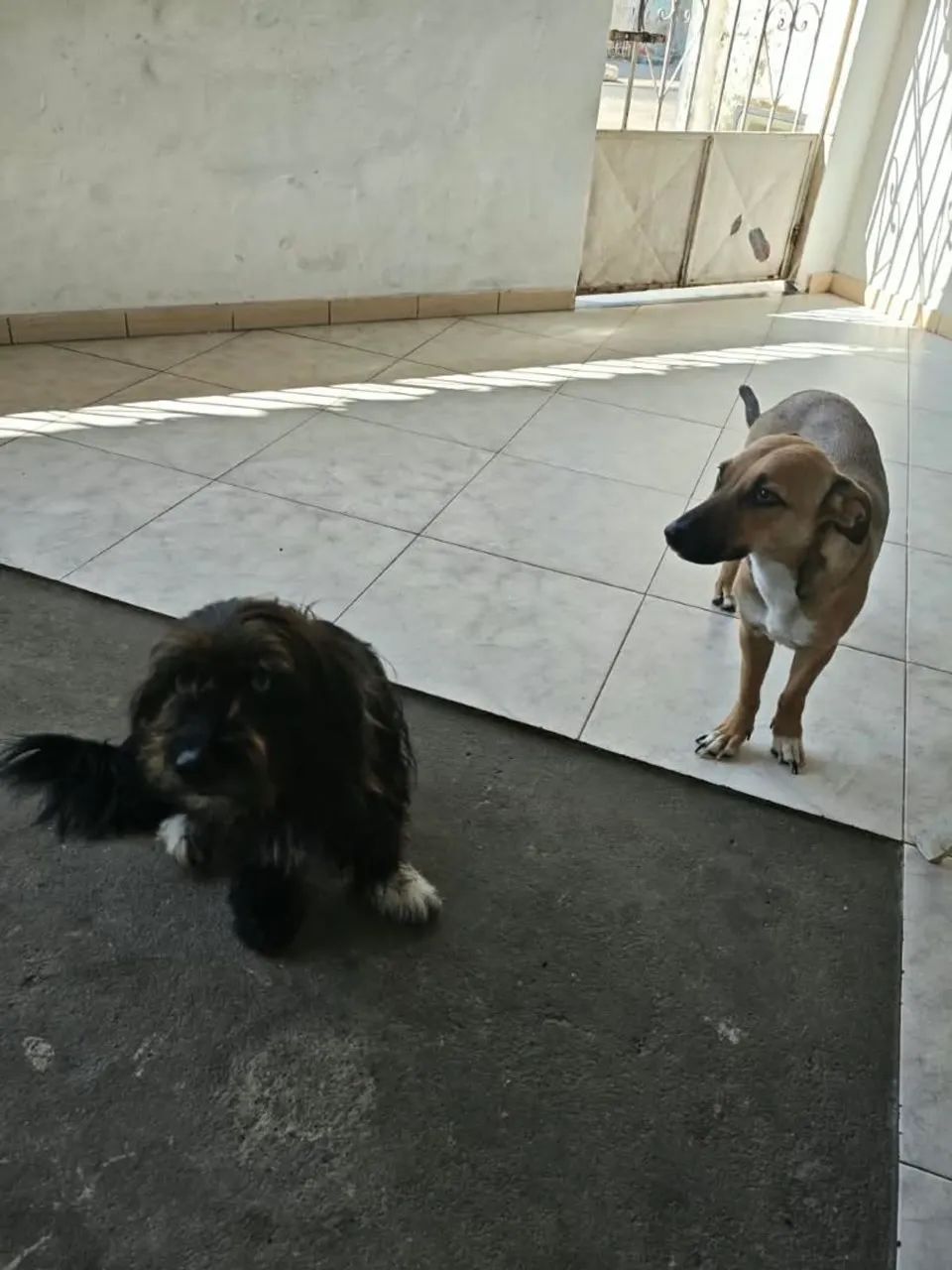 Doação 