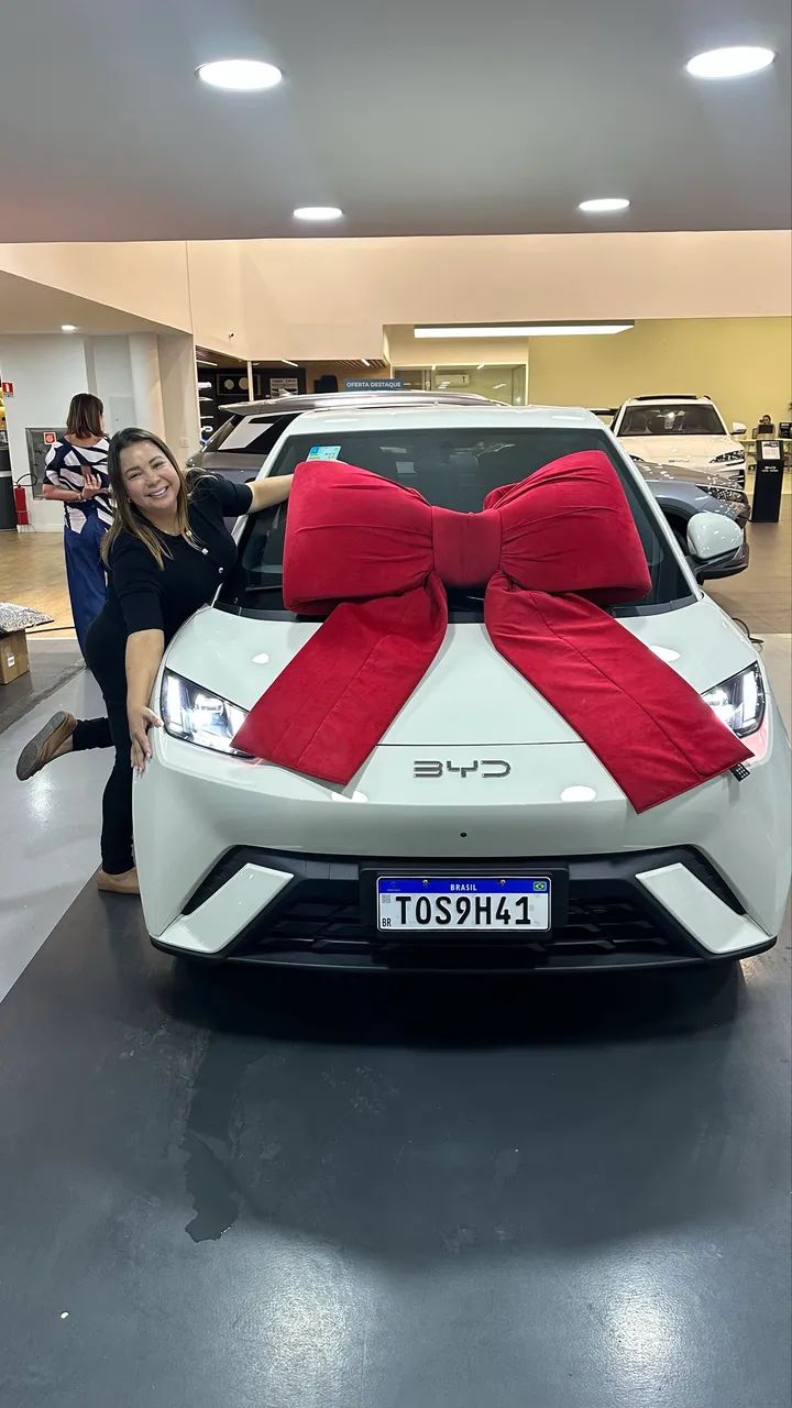 BYD Dolphin Mini (Elétrico) 2027 - Foto 2