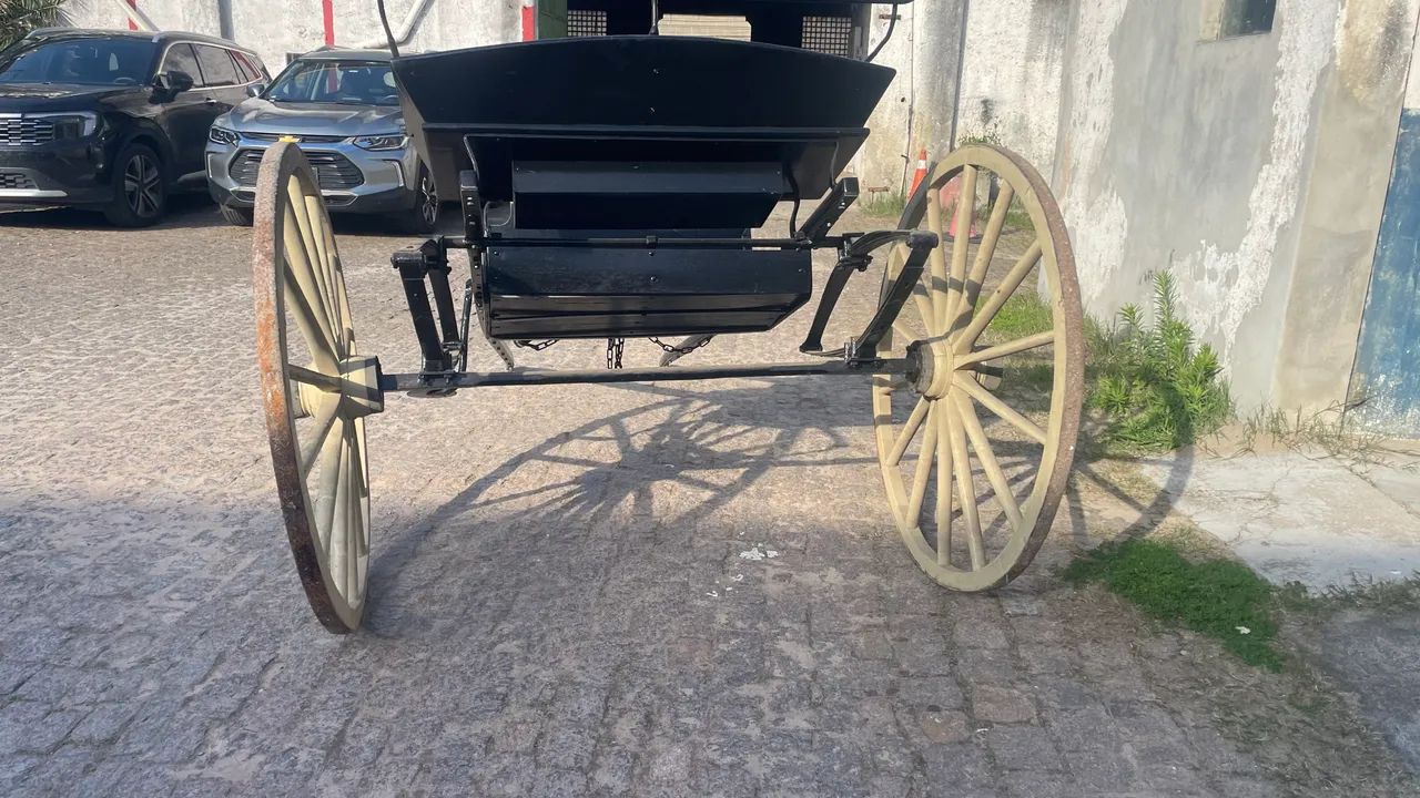 Charrete faéton aranha  - Foto 5