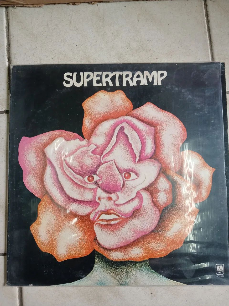 Disco de vinil importado 