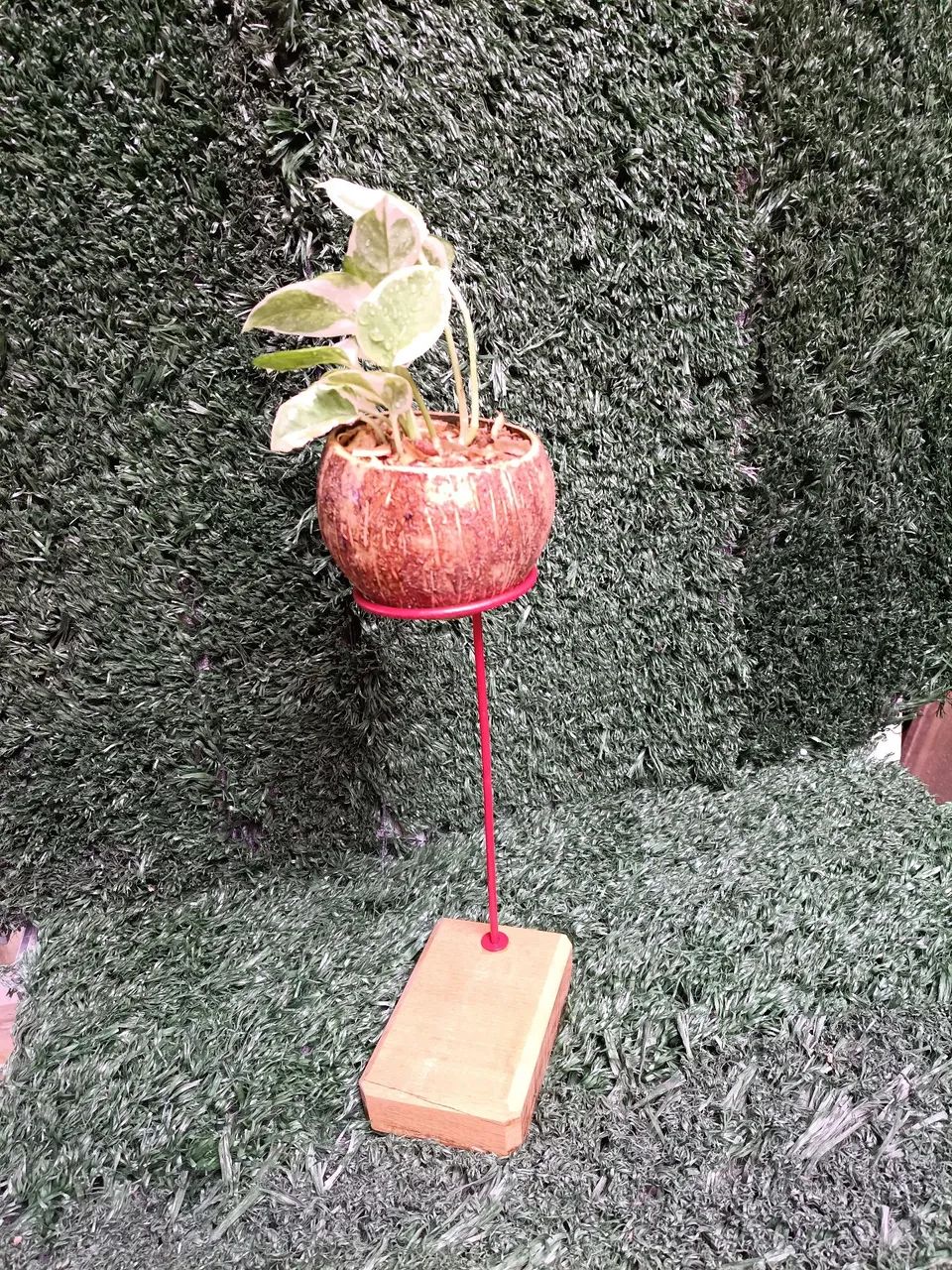 Suporte para Kokedamas em madeira maciça e ferro. - Foto 2