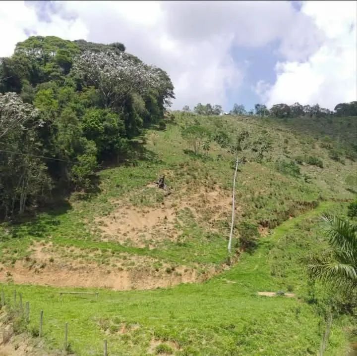 Terreno Parajú  - Foto 3