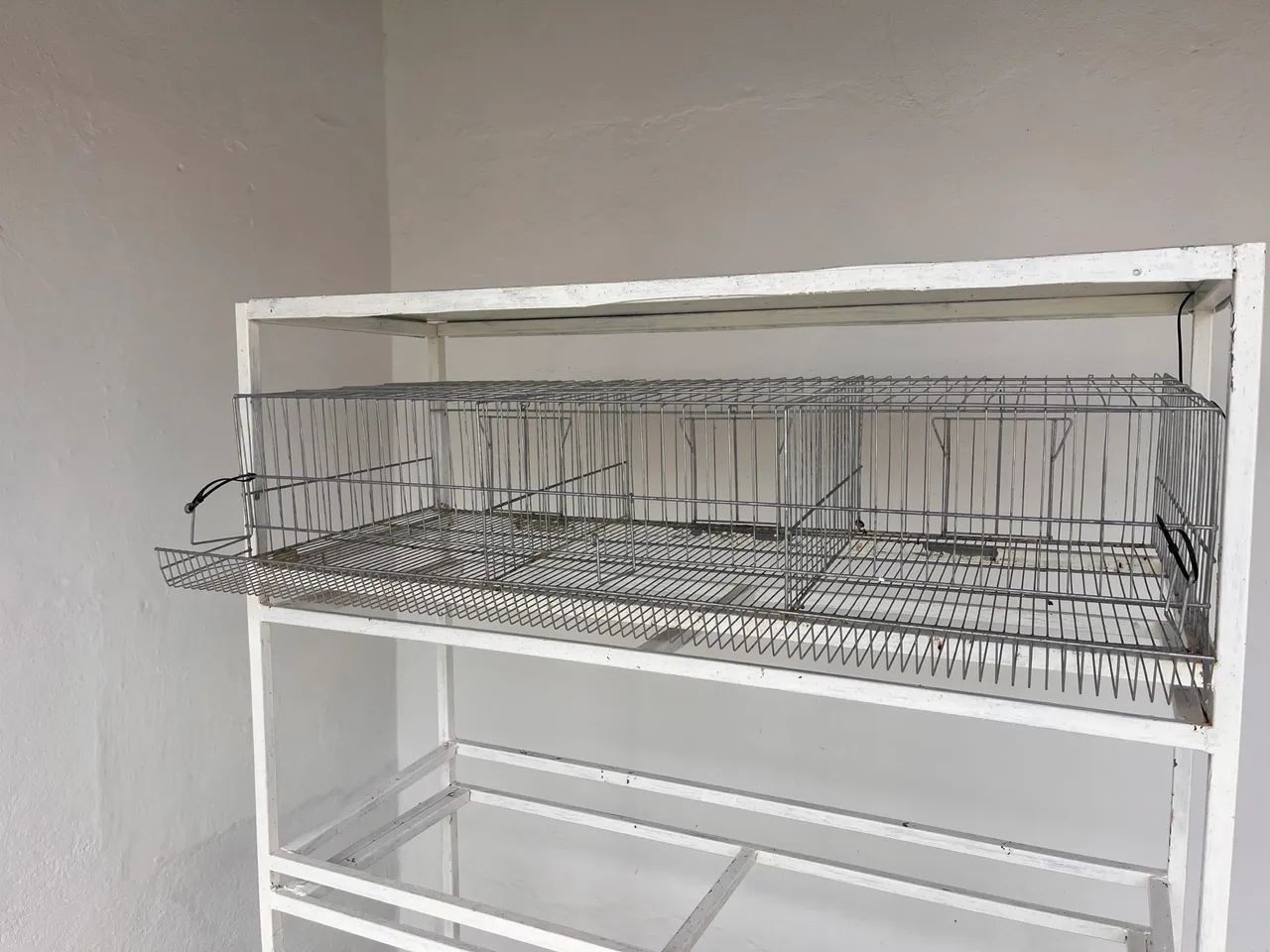 Gaiola para codorna  - Foto 3