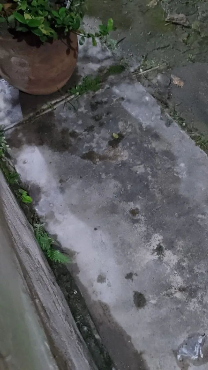 Foto - São Gonçalo - Engenho Pequeno