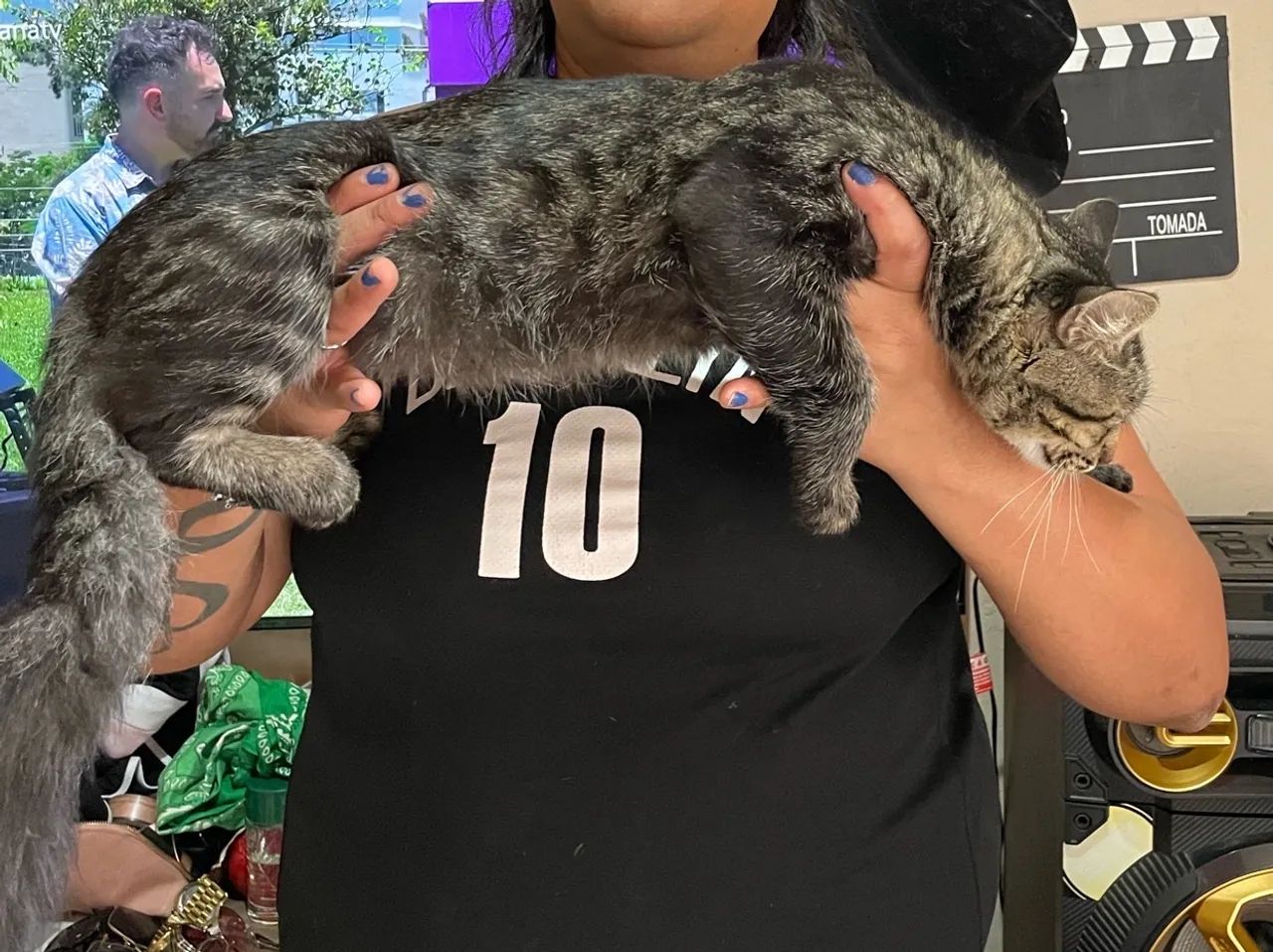 GATOS, PRA DOAÇÃO M CASTRADOS SOU DE FERRAZ ZL - Foto 4