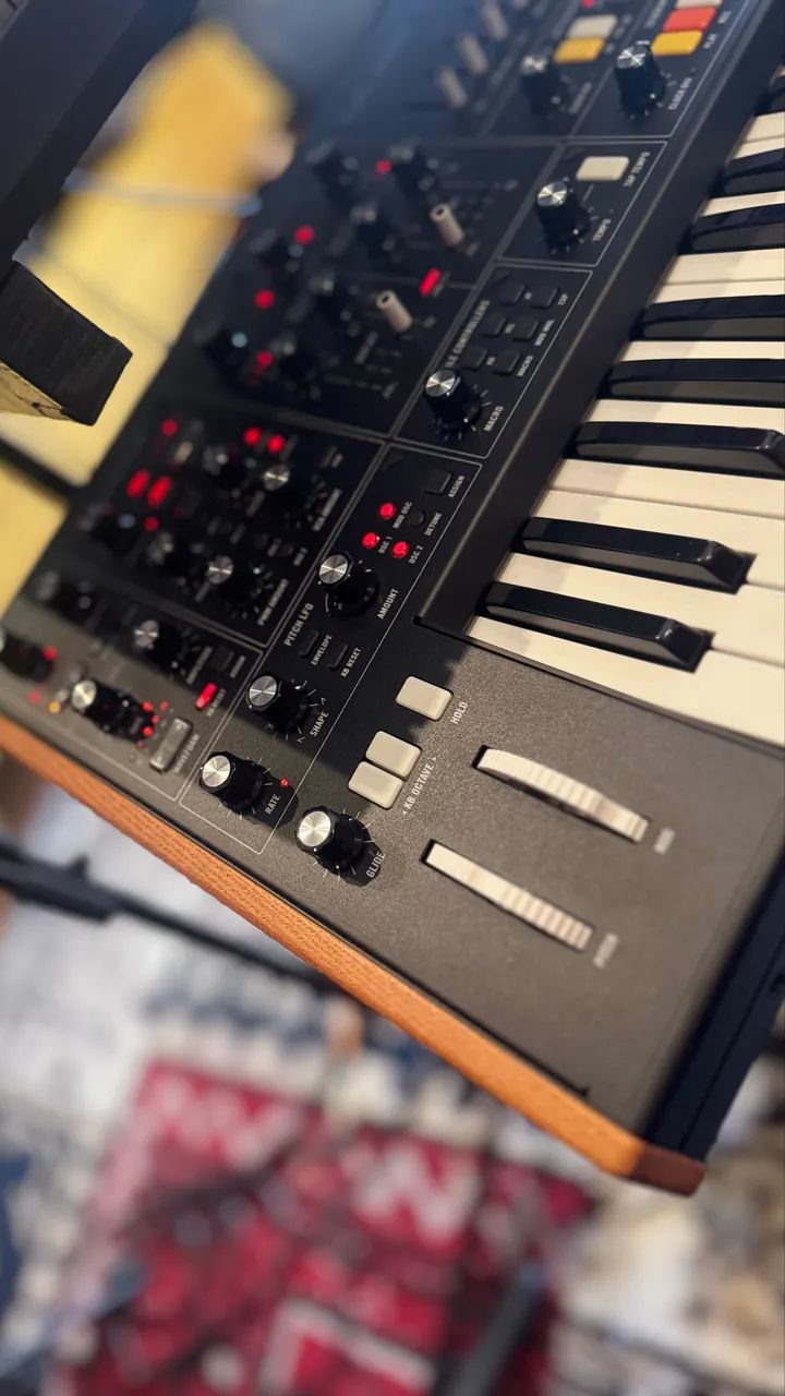 Moog Muse - Foto 2