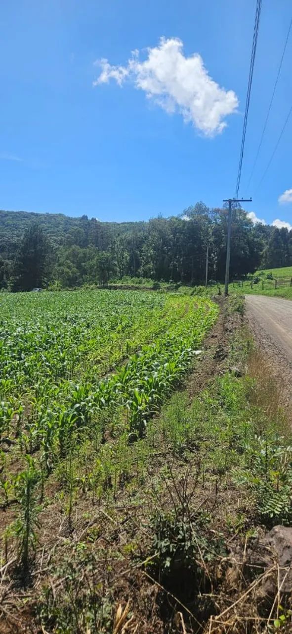 Terreno para sítio ou loteamento  - Foto 11