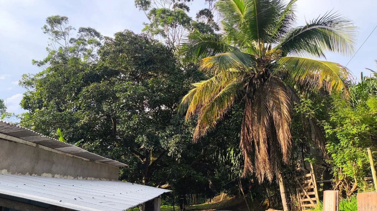 Chácara em belvedere, Serra  - Foto 3