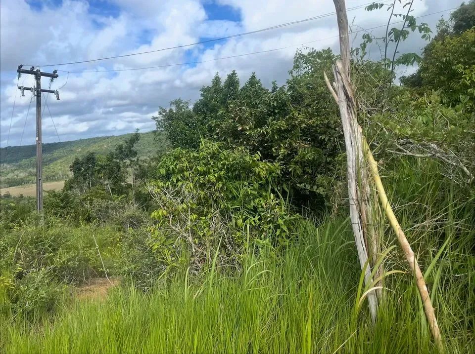 Vendo área rica em Coqueiro Seco - Foto 4