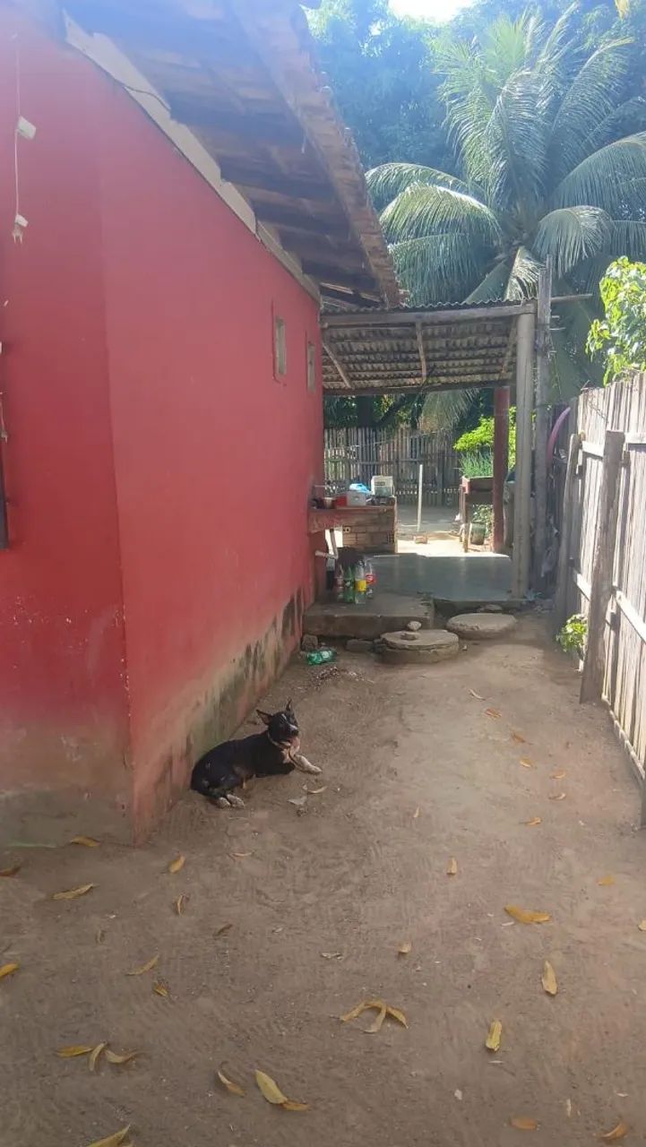 Vende-se Casa Mucajaí RR - Foto 3