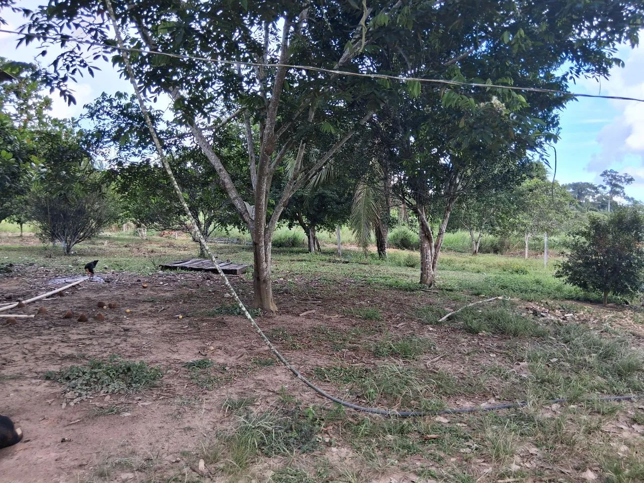 Não tem  - Foto 4