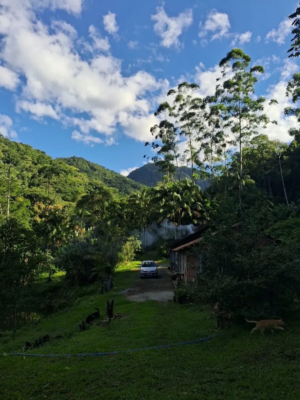 Chácara para Venda, PIRABEIRABA 70.000M² - Foto 2