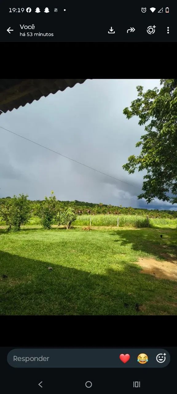 Sítio a venda  - Foto 2