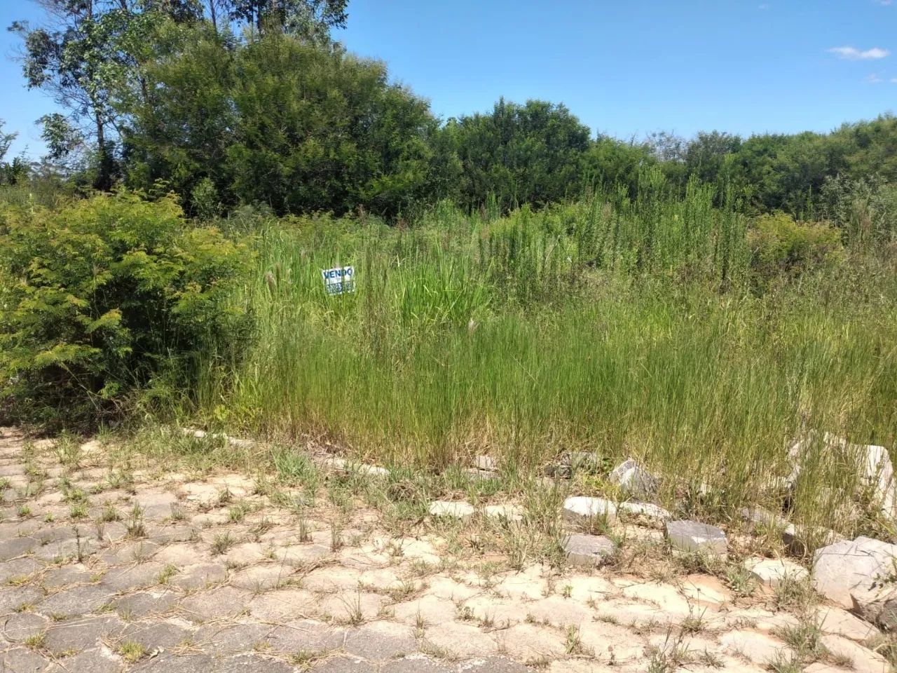 Terreno com excelente localização medindo 433,82m². - Foto 3