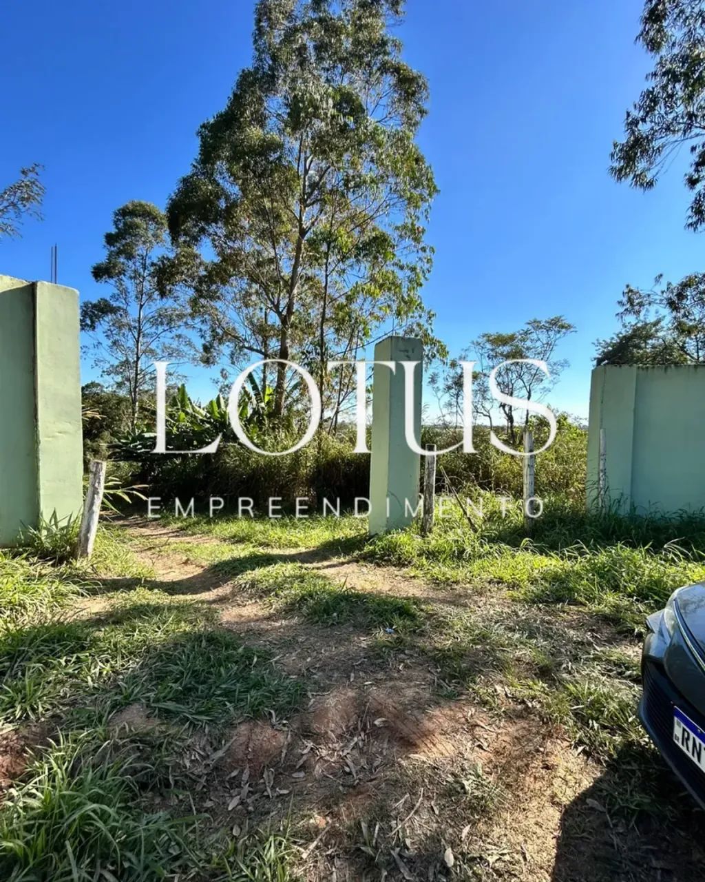 TERRENO DE 1.000M² COM MUITO ESPAÇO E TRANQUILIDADE - Foto 5