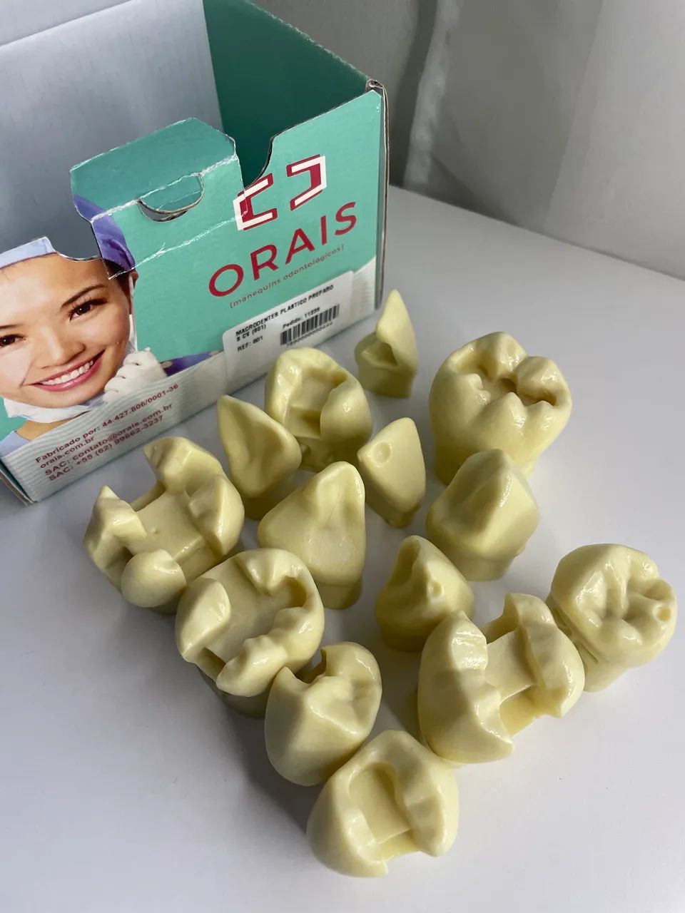 MACRO MODELO COM PREPAROS CAVITÁRIOS CÓD. 801 - ORAIS  - Foto 2