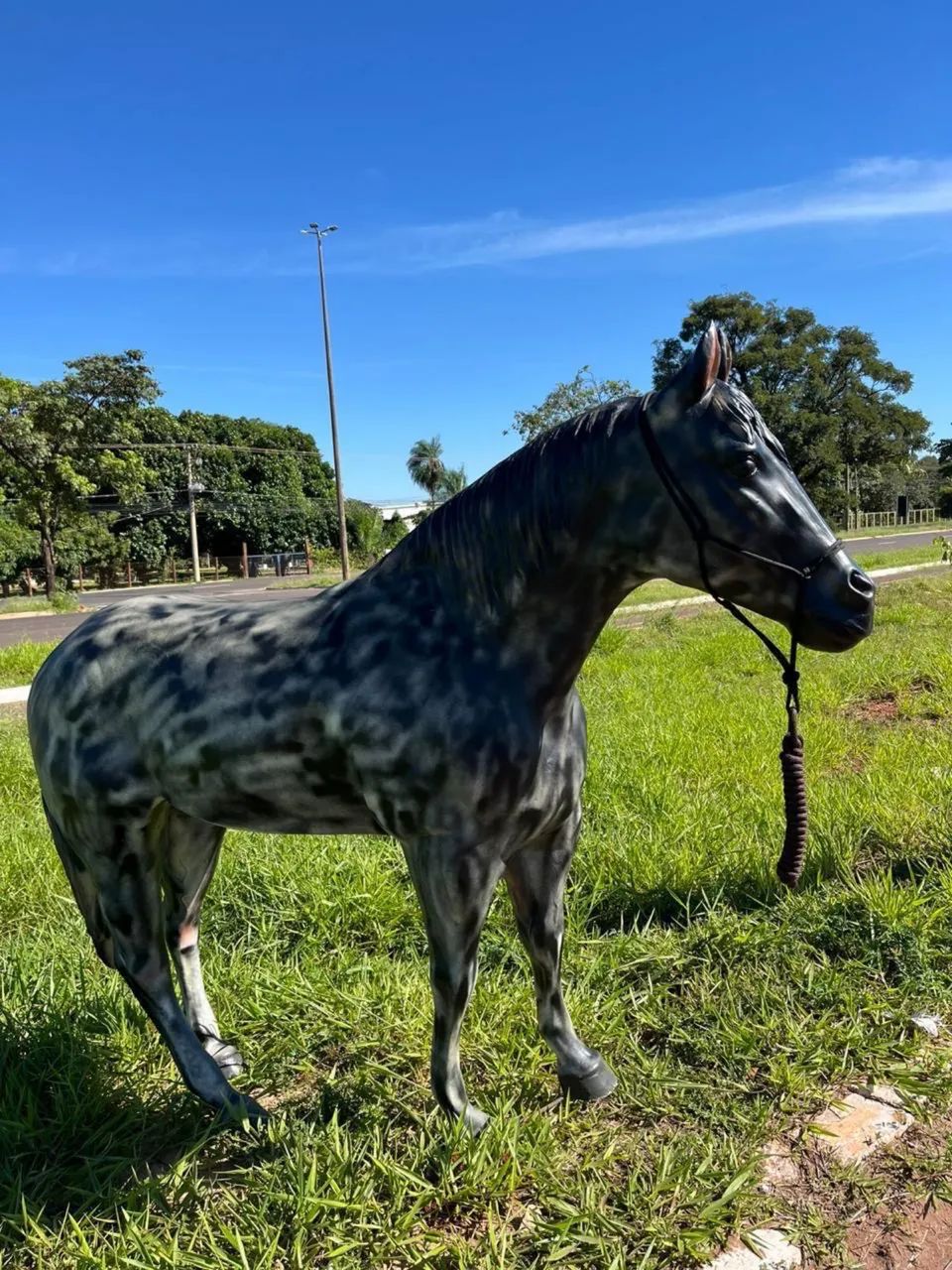 Cavalos de fibra!! Promoção  - Foto 3