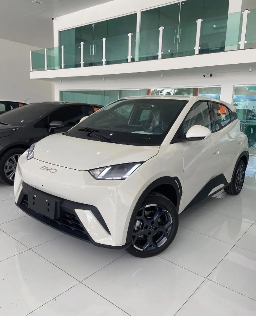 BYD Dolphin Mini (Elétrico) 2026