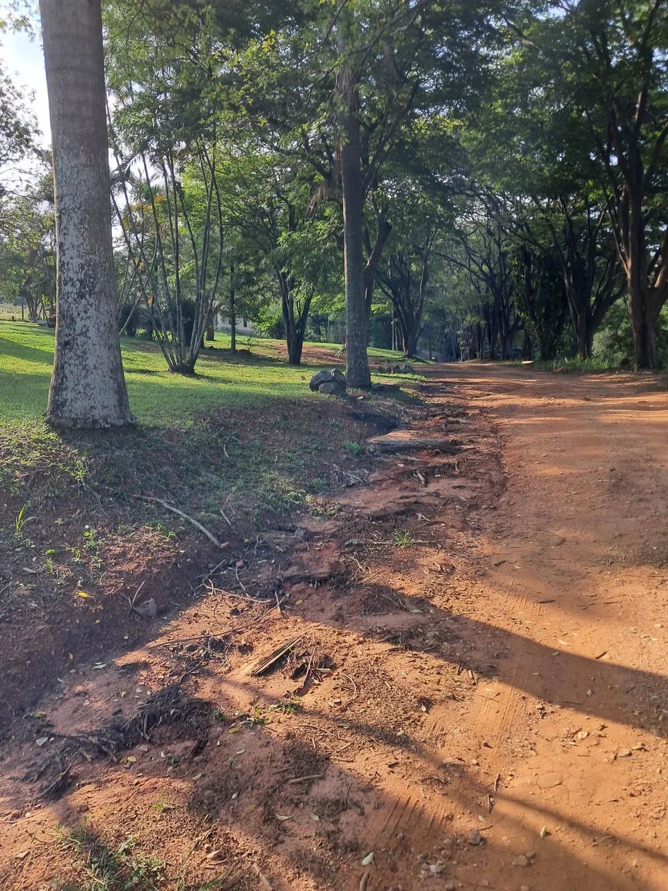 Fazenda a venda 